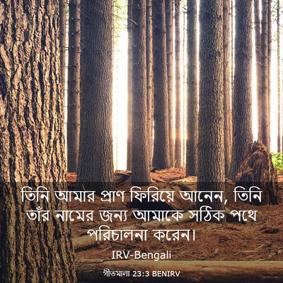 Picture 03 - গীতমালা 23:3 BENIRV - তিনি আমার প্রাণ - Bible Verse Picture