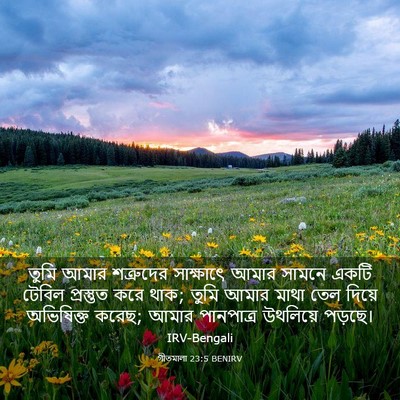Picture 03 - গীতমালা 23:5 BENIRV - তুমি আমার - Bible Verse Picture