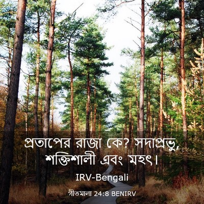 Picture 03 - গীতমালা 24:8 BENIRV - প্রতাপের রাজা কে? - Bible Verse Picture