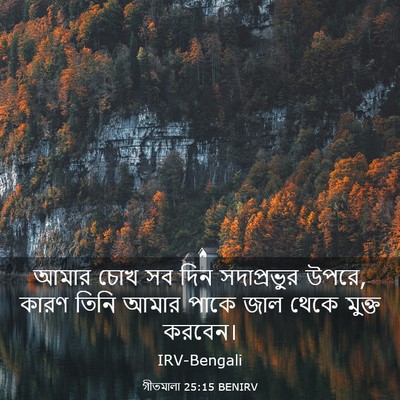Picture 03 - গীতমালা 25:15 BENIRV - আমার চোখ সব দিন - Bible Verse Picture
