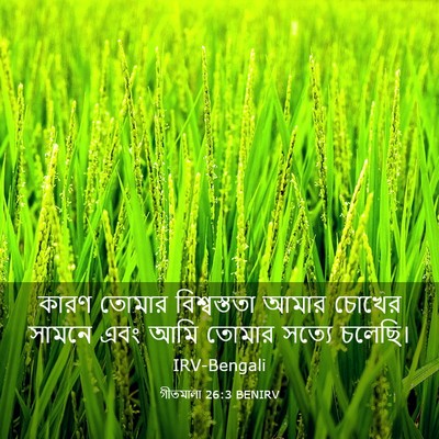 Picture 03 - গীতমালা 26:3 BENIRV - কারণ তোমার - Bible Verse Picture