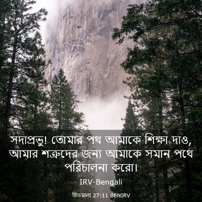 Picture 03 - গীতমালা 27:11 BENIRV - সদাপ্রভুু! তোমার - Bible Verse Picture