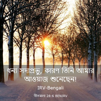 Picture 03 - গীতমালা 28:6 BENIRV - ধন্য সদাপ্রভুু, - Bible Verse Picture