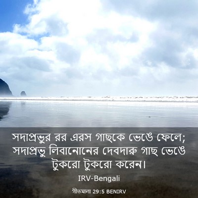 Picture 03 - গীতমালা 29:5 BENIRV - সদাপ্রভুুর রর এরস - Bible Verse Picture