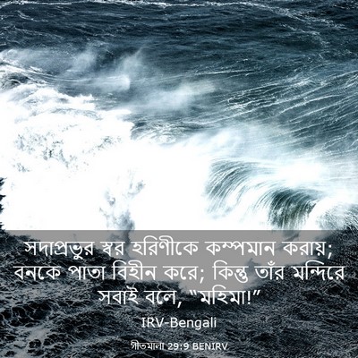 Picture 03 - গীতমালা 29:9 BENIRV - সদাপ্রভুুর স্বর - Bible Verse Picture