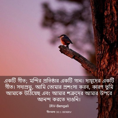 Picture 03 - গীতমালা 30:1 BENIRV - একটি গীত; মন্দির - Bible Verse Picture