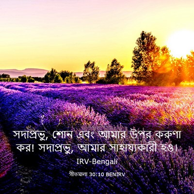 Picture 03 - গীতমালা 30:10 BENIRV - সদাপ্রভুু, শোন এবং - Bible Verse Picture