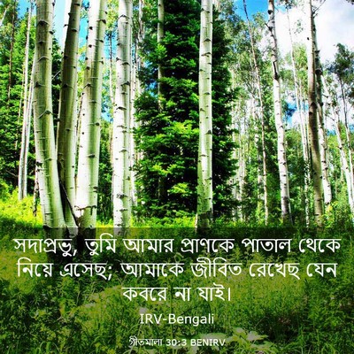 Picture 03 - গীতমালা 30:3 BENIRV - সদাপ্রভুু, তুমি - Bible Verse Picture