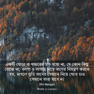 Picture 03 - গীতমালা 32:9 BENIRV - একটি ঘোড়া বা - Bible Verse Picture