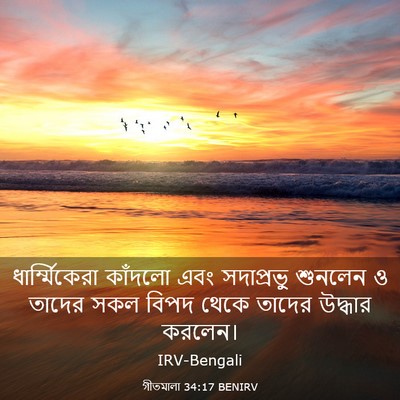 Picture 03 - গীতমালা 34:17 BENIRV - ধার্ম্মিকেরা - Bible Verse Picture