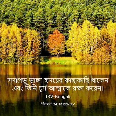 Picture 03 - গীতমালা 34:18 BENIRV - সদাপ্রভুু ভাঙ্গা - Bible Verse Picture