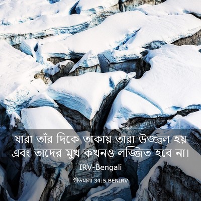 Picture 03 - গীতমালা 34:5 BENIRV - যারা তাঁর দিকে - Bible Verse Picture
