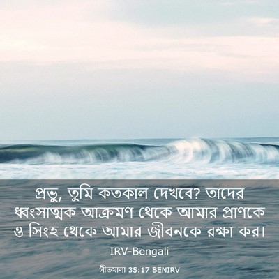 Picture 03 - গীতমালা 35:17 BENIRV - প্রভু, তুমি কতকাল - Bible Verse Picture