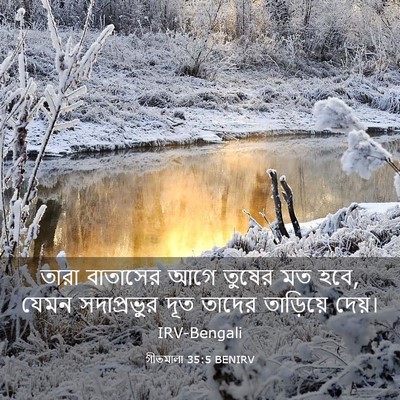 Picture 03 - গীতমালা 35:5 BENIRV - তারা বাতাসের আগে - Bible Verse Picture
