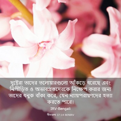 Picture 03 - গীতমালা 37:14 BENIRV - দুষ্টেরা তাদের - Bible Verse Picture