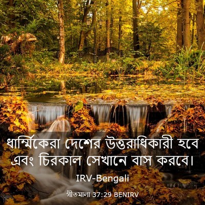 Picture 03 - গীতমালা 37:29 BENIRV - ধার্ম্মিকেরা - Bible Verse Picture