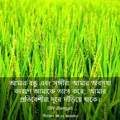 Picture 03 - গীতমালা 38:11 BENIRV - আমার বন্ধু এবং - Bible Verse Picture