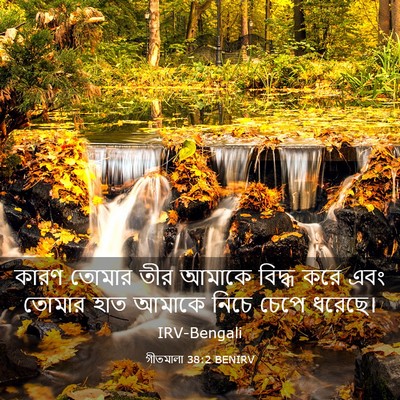 Picture 03 - গীতমালা 38:2 BENIRV - কারণ তোমার তীর - Bible Verse Picture