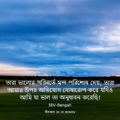 Picture 03 - গীতমালা 38:20 BENIRV - তারা ভালোর - Bible Verse Picture