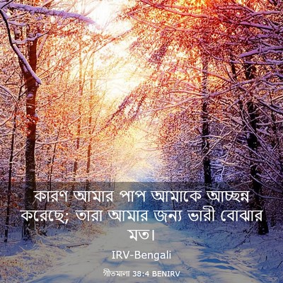 Picture 03 - গীতমালা 38:4 BENIRV - কারণ আমার পাপ - Bible Verse Picture