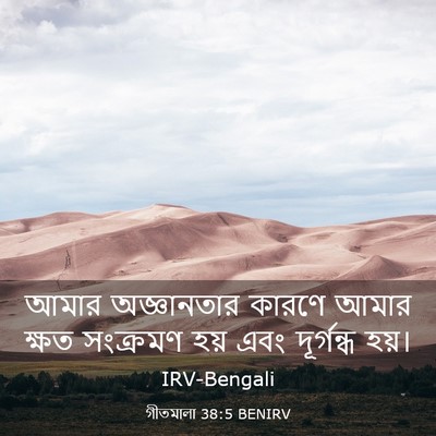 Picture 03 - গীতমালা 38:5 BENIRV - আমার অজ্ঞানতার - Bible Verse Picture