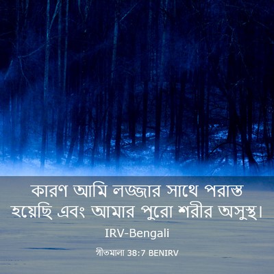 Picture 03 - গীতমালা 38:7 BENIRV - কারণ আমি লজ্জার - Bible Verse Picture