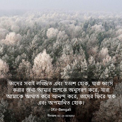 Picture 03 - গীতমালা 40:14 BENIRV - তাদের সবাই লজ্জিত - Bible Verse Picture