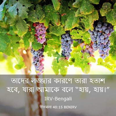 Picture 03 - গীতমালা 40:15 BENIRV - তাদের লজ্জার - Bible Verse Picture