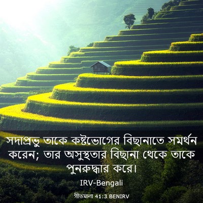 Picture 03 - গীতমালা 41:3 BENIRV - সদাপ্রভুু তাকে - Bible Verse Picture