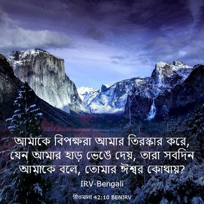 Picture 03 - গীতমালা 42:10 BENIRV - আমাকে বিপক্ষরা - Bible Verse Picture