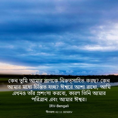 Picture 03 - গীতমালা 42:11 BENIRV - কেন তুমি আমার - Bible Verse Picture