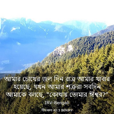 Picture 03 - গীতমালা 42:3 BENIRV - আমার চোখের জল দিন - Bible Verse Picture