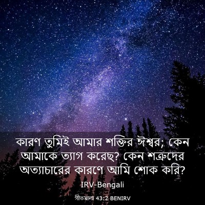 Picture 03 - গীতমালা 43:2 BENIRV - কারণ তুমিই আমার - Bible Verse Picture