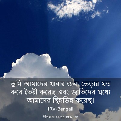 Picture 03 - গীতমালা 44:11 BENIRV - তুমি আমাদের খাবার - Bible Verse Picture