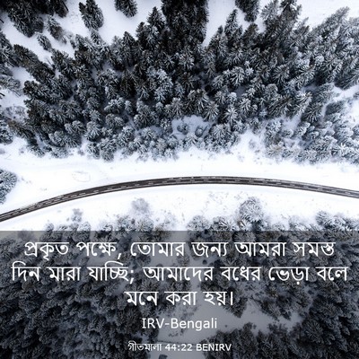 Picture 03 - গীতমালা 44:22 BENIRV - প্রকৃত পক্ষে, - Bible Verse Picture