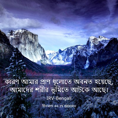 Picture 03 - গীতমালা 44:25 BENIRV - কারণ আমার প্রাণ - Bible Verse Picture