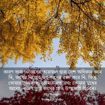 Picture 03 - গীতমালা 44:3 BENIRV - কারণ তারা নিজেদের - Bible Verse Picture