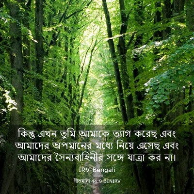 Picture 03 - গীতমালা 44:9 BENIRV - কিন্তু এখন তুমি - Bible Verse Picture