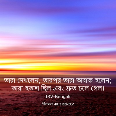 Picture 03 - গীতমালা 48:5 BENIRV - তারা দেখলেন, তারপর - Bible Verse Picture