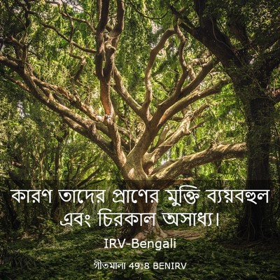 Picture 03 - গীতমালা 49:8 BENIRV - কারণ তাদের - Bible Verse Picture