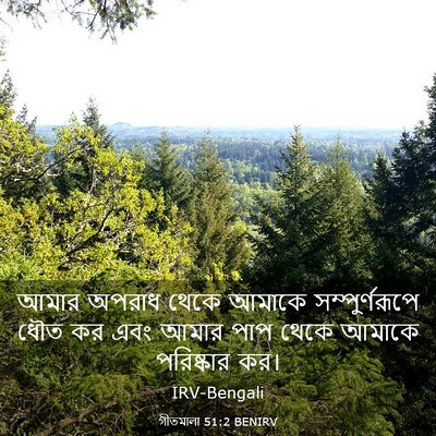 Picture 03 - গীতমালা 51:2 BENIRV - আমার অপরাধ থেকে - Bible Verse Picture