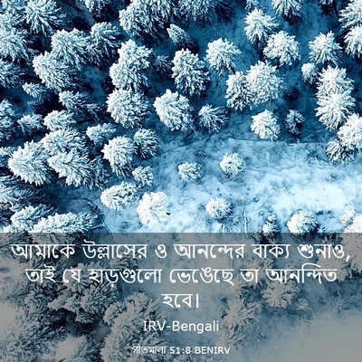 Picture 03 - গীতমালা 51:8 BENIRV - আমাকে উল্লাসের ও - Bible Verse Picture