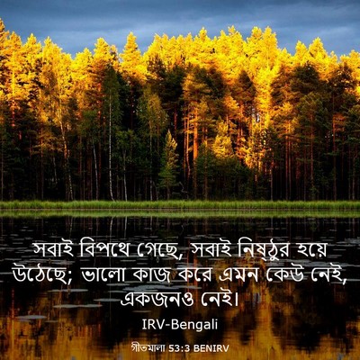 Picture 03 - গীতমালা 53:3 BENIRV - সবাই বিপথে গেছে, - Bible Verse Picture