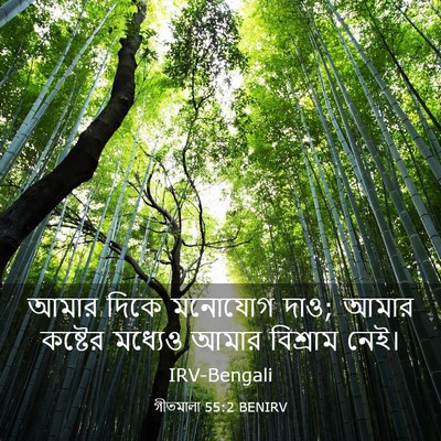 Picture 03 - গীতমালা 55:2 BENIRV - আমার দিকে মনোযোগ - Bible Verse Picture