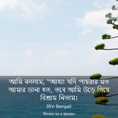 Picture 03 - গীতমালা 55:6 BENIRV - আমি বললাম, “আহা! - Bible Verse Picture