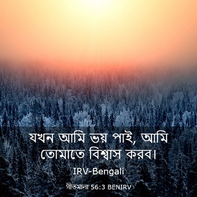 Picture 03 - গীতমালা 56:3 BENIRV - যখন আমি ভয় পাই, - Bible Verse Picture