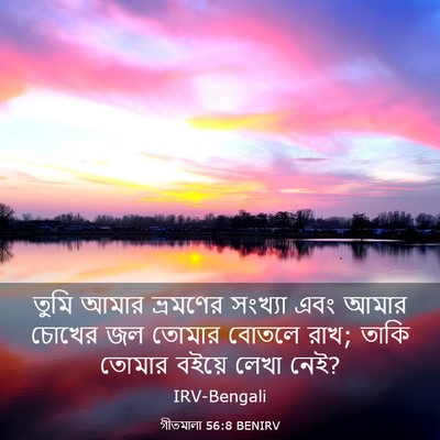 Picture 03 - গীতমালা 56:8 BENIRV - তুমি আমার ভ্রমণের - Bible Verse Picture