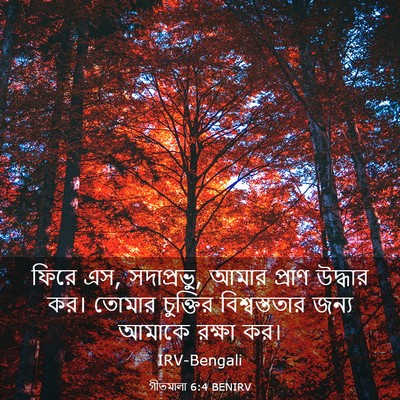 Picture 03 - গীতমালা 6:4 BENIRV - ফিরে এস, সদাপ্রভুু, - Bible Verse Picture
