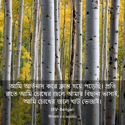 Picture 03 - গীতমালা 6:6 BENIRV - আমি আর্তনাদ করে - Bible Verse Picture