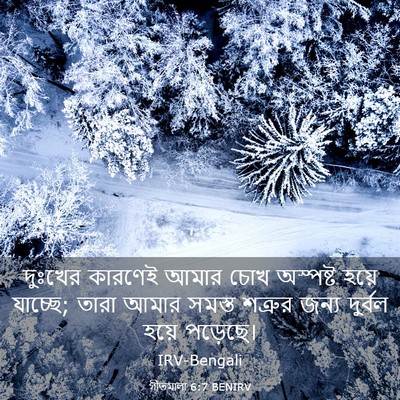 Picture 03 - গীতমালা 6:7 BENIRV - দুঃখের কারণেই - Bible Verse Picture